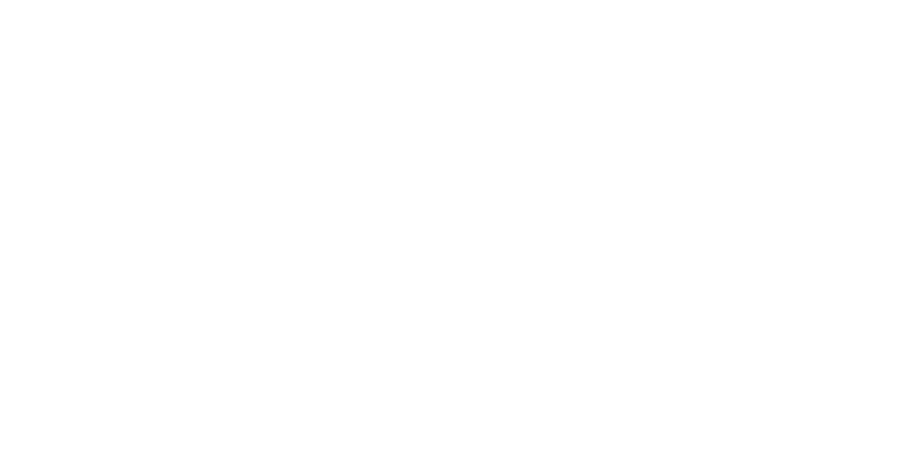 Smart Cruise